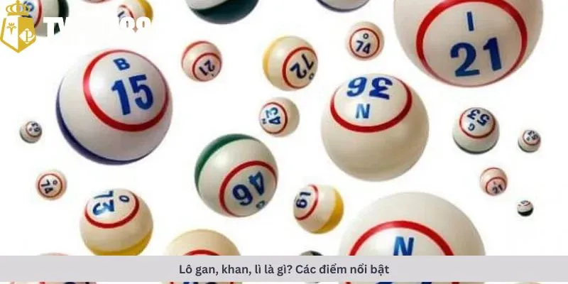 Các điểm nổi bật