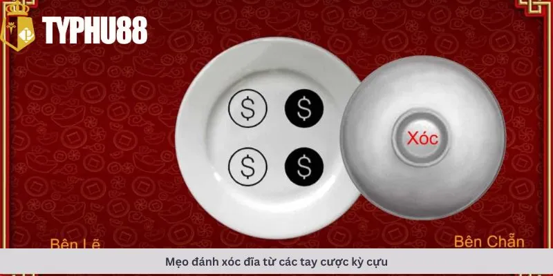 Mẹo đánh từ các tay cược kỳ cựu