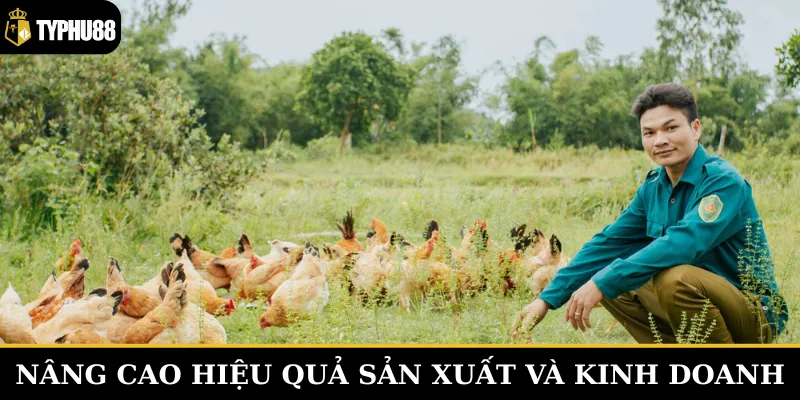 Kỹ thuật nuôi gà tốt luôn đi cùng với mạng lưới tiêu thụ hiệu quả